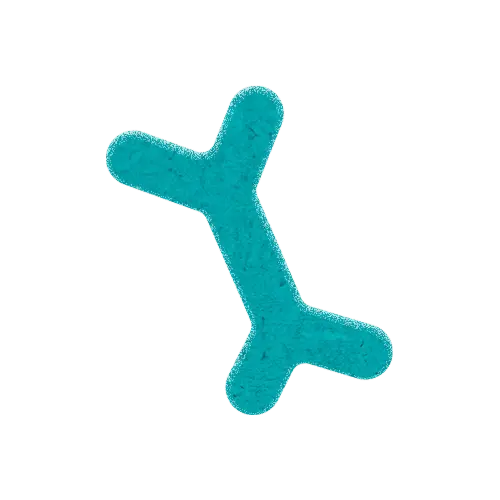 Bifidobacterium breve