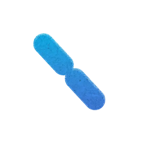 Lactobacillus plantarum